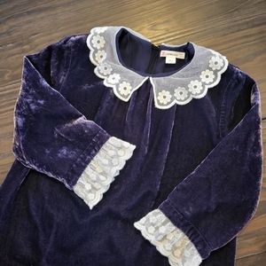 Crewcut Lace Colla Velvet Dress